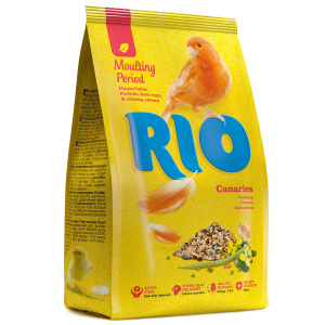 Rio       500 