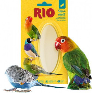 Rio   ( )  