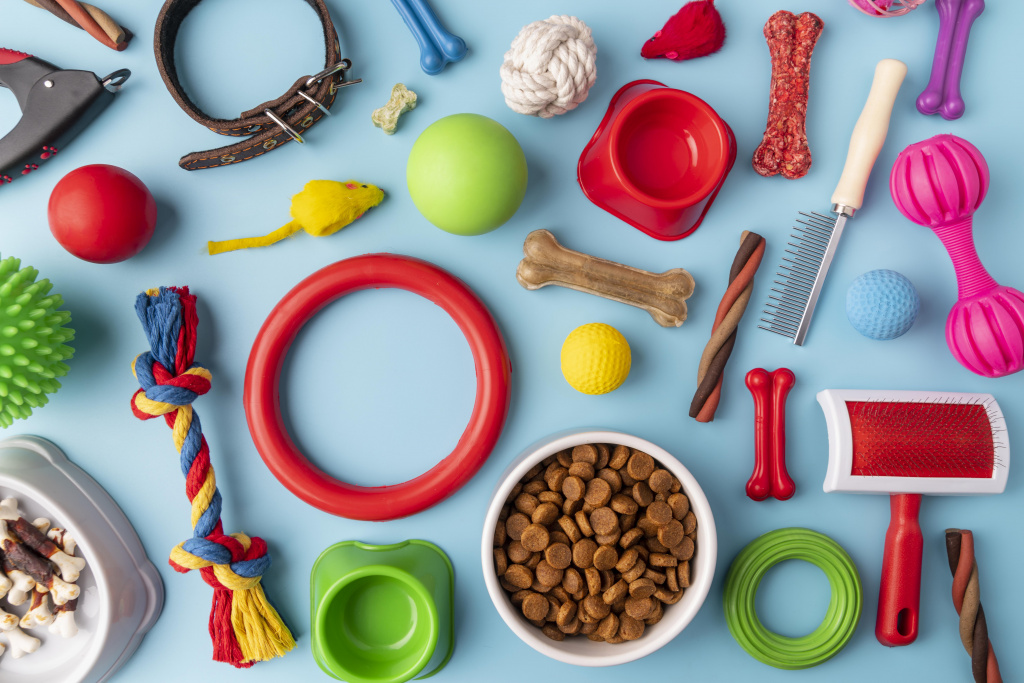 pet-accessories-still-life-concept-with-colorful-objects.jpg