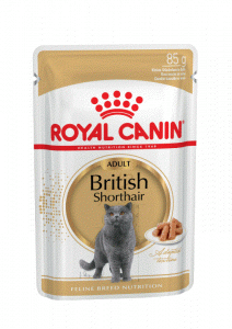 Royal Canin British Shorthair   85 