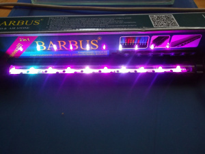 Barbus       LED-55  003