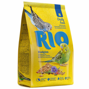 Rio       1 