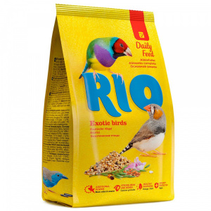 Rio       500 