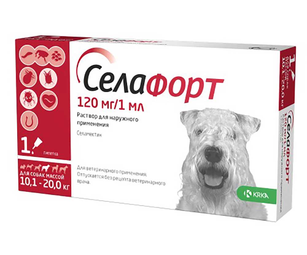 Силафорт для кошки