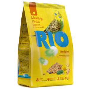 Rio        1 