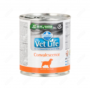 Farmina Vet Life Dog Convalescence  300 