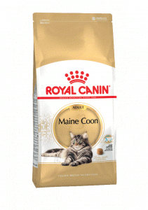 Royal Canin Maine Coon Adult   10 