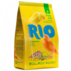 Rio      500 
